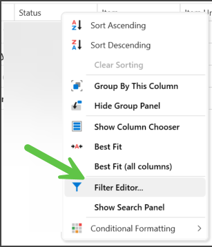 Filter Editor option in the report column header